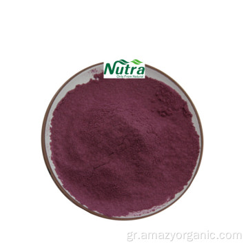 Pure Organic Chokeberry Extract Powder